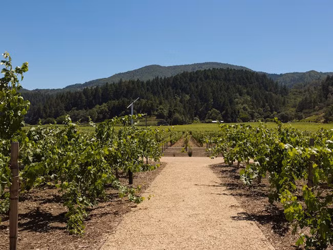 Dinh thự được rao bán lần đầu tiên vào năm 2014, với giá 38 triệu USD (~ 862 tỷ đồng). Tuy nhiên, lúc này, việc xây dựng nó vẫn chưa được hoàn thành. Vườn nho của căn biệt thự rộng tới 80.937 m2.