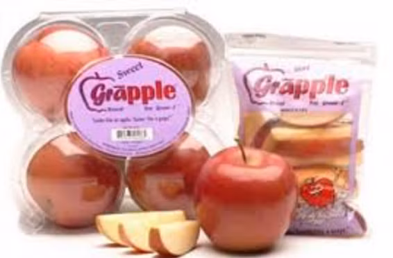 Táo Grapple kỳ lạ ở chỗ có mùi của quả nho. Nó được tạo thành từ việc ngâm táo táo Fuji hoặc táo Washington Extra Fancy Gala ngâm trong chất methyl anthranilate để tạo thành hương vị như nho. Ảnh: Oddity Central.