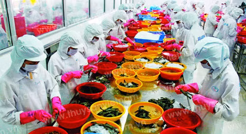 Dai gia Duong Ngoc Minh: Tu vung ngan ty den ban dat tra no