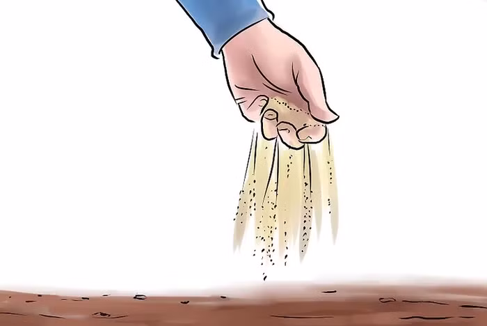 4. Bạn nên bón phân cho đất trồng. Phân ủ hoặc phân chuồng là loại phân bón tự nhiên tốt nhất để trồng dưa chuột. Nếu bạn sử dụng phân bón vô cơ, hãy chọn một loại phân bón chậm và làm đúng theo hướng dẫn sử dụng ghi trên bao bì.