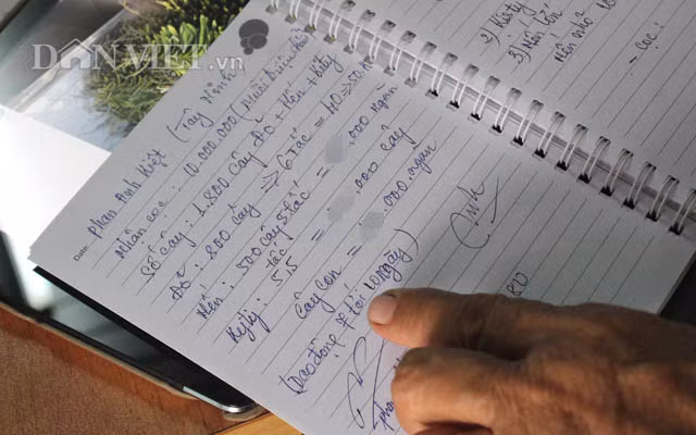 Bán giống không sợ ế, khách hàng đặt cọc xong là bà cắt một loạt mấy ngàn cây. Cũng vì làm đồng loạt như thế, tuổi của cả vườn lan sẽ đồng đều nhau. Cắt bán đồng loạt, cây giống ra đồng loạt, tất cả đều tăm tắp.