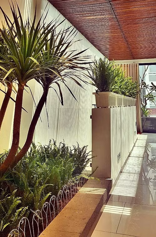 Nam ca sĩ Nathan Lee mua nhiều cây cảnh trang trí cho nhà riêng. Đây là một góc hành lang trước cửa phòng làm việc của anh.