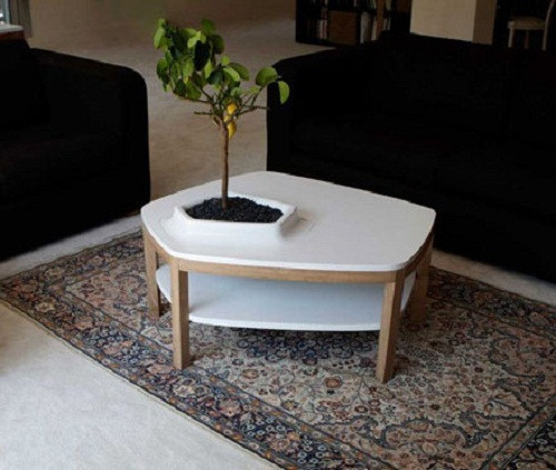 Bàn cà phê độc đáo tích hợp chỗ trồng cây cảnh.