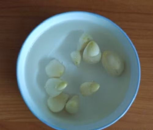 Sau khi ngâm nước, xếp tỏi gọn vào đáy chai đã cắt sẵn, xếp phần đầu củ tỏi hướng lên trên.