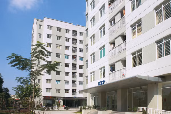 Nguồn tin trên báo điện tử Tầm nhìn cho hay, dự án Khu nhà ở Đại Mỗ, tại xã Đại Mỗ, quận Nam Từ Liêm cũng được xác định là gây thất thu ngân sách Nhà nước. Viglacera đã nộp 57 tỷ đồng tiền sử dụng đất. Tuy nhiên liên ngành đã đưa khoản chi phí dự phòng không đúng với quy định tại Thông tư số 145/TTLN/TT-BTC ngày 6/12/2007 của Bộ Tài chính.