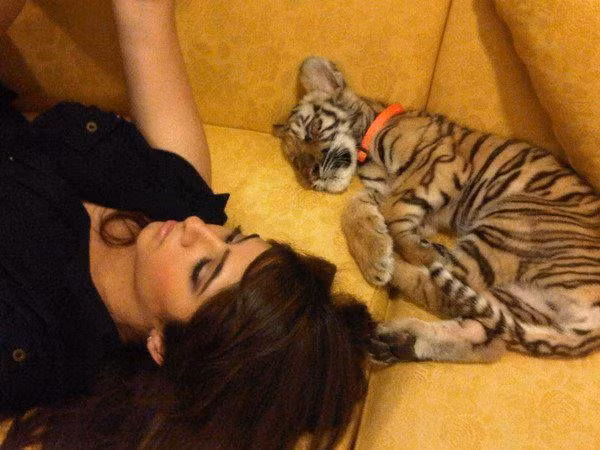 Năm 2012, cô nàng thậm chí còn chi ra 250.000 đô la (tương đương 500 triệu đồng) để mua một chú hổ Siberia về làm thú cưng. Ảnh: Printest.