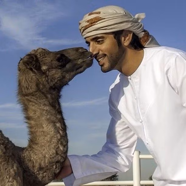 Đáng kể đến là bộ sưu tập động vật có một không hai bao gồm: hổ, sư tử, chim ưng,... và cả con lạc đà đắt nhất thế giới trị giá 2,7 triệu USD. Ảnh: Printest.