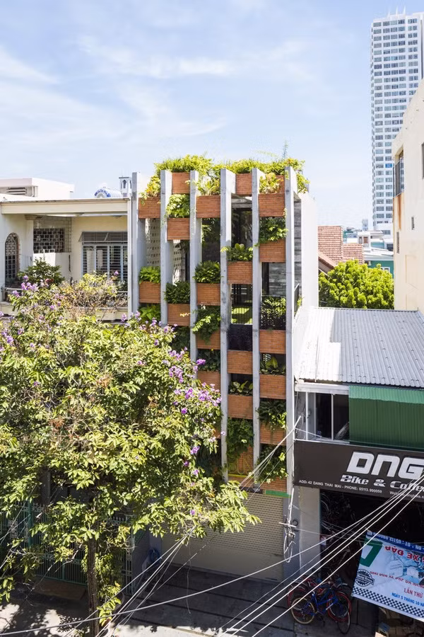 Nhà ống 3 tầng ấn tượng với cực nhiều cây xanh tại mặt tiền. Ảnh: Archdaily.