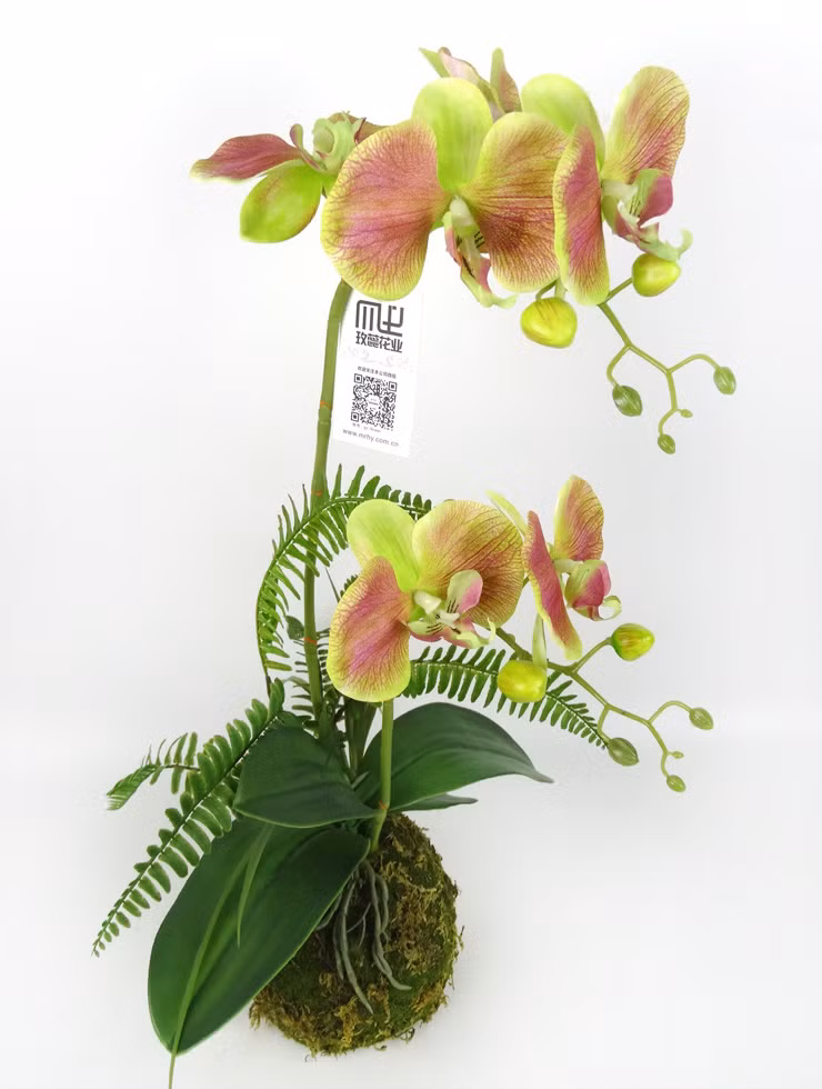 Chậu bonsai xinh xắn được chủ nhân kỳ công chăm sóc trong khoảng thời gian hơn một tháng. Ảnh: Gzfzh.