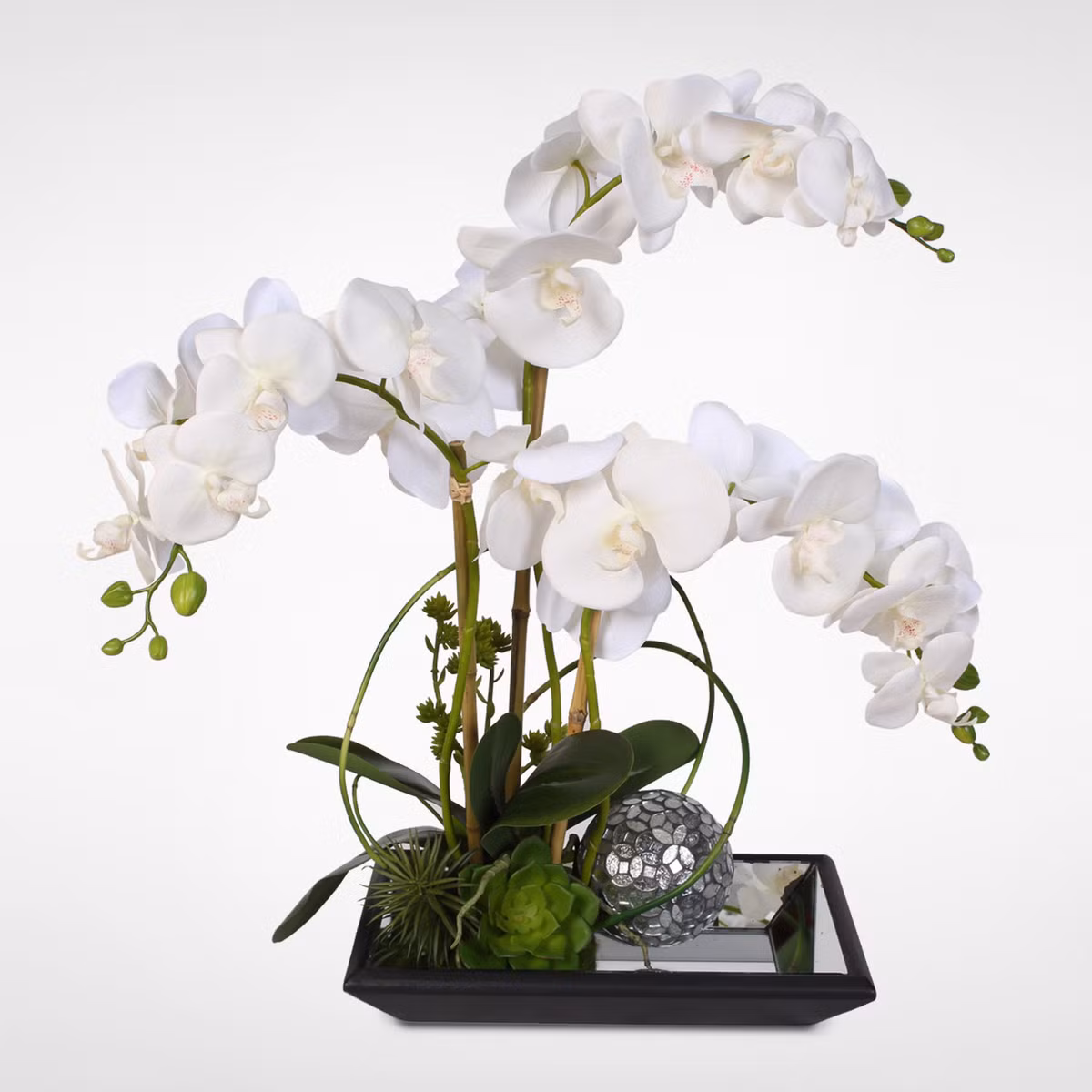 Phong lan tạo dáng điệu đà. Ảnh: Jennysilks.