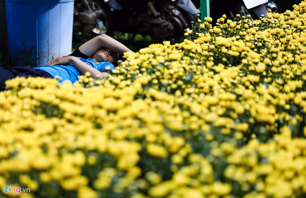 Những ngày giáp tết thời tiết vẫn nắng gắt khiến nhiều người canh hoa mệt mỏi vì túc trực ngày đêm.