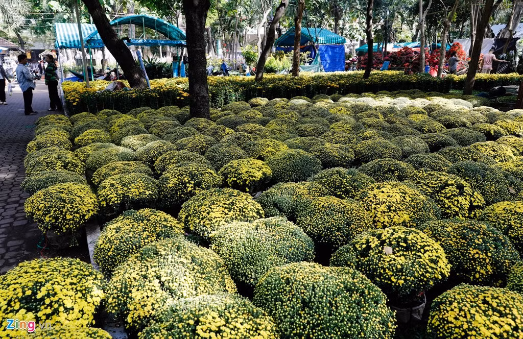 Cúc luôn là mặt hàng được khách hàng ưa chuộng vì có màu sắc rực rỡ .