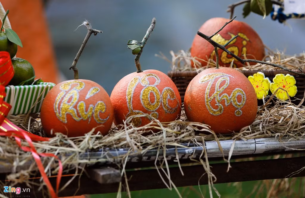 Bưởi đỏ tiến vua miền Bắc cũng lần đầu xuất hiện.
