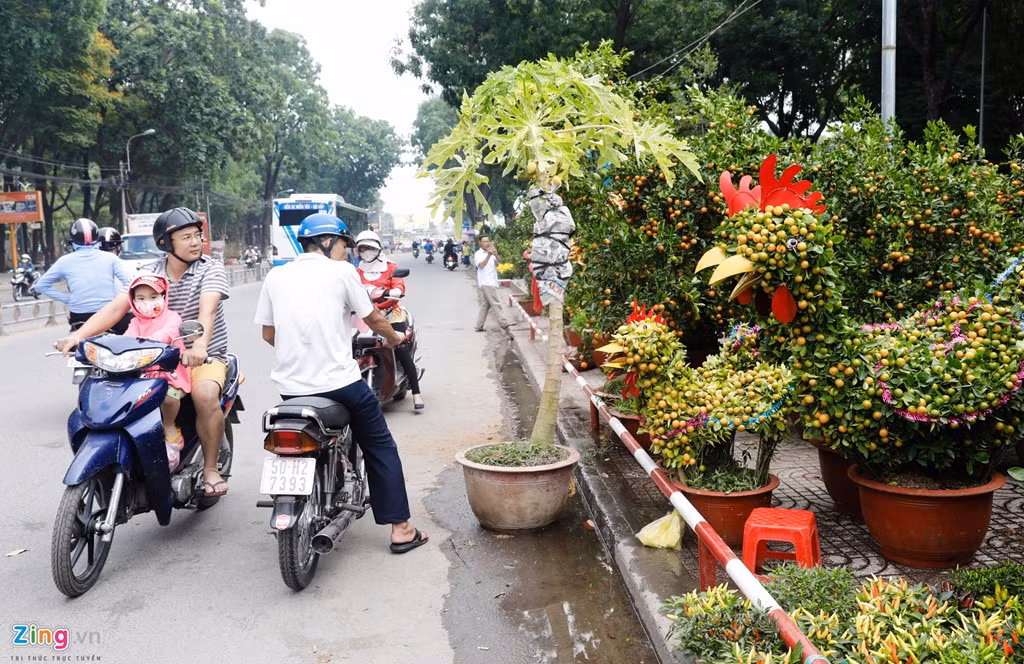 Ở công viên Gia Định khách thích thú với tắc tạo hình gà, biểu tượng của năm 2017.