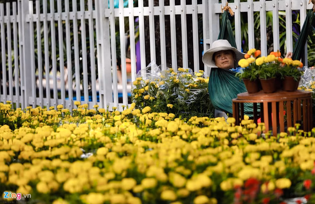 Nhưng nhìn chung năm nay các nhà vườn đều lo sợ bị lỗ. Do thời tiết thay đổi nên nhiều vụ hoa đã nở trước tết, nhà vườn phải trồng lại mẻ mới để bán kịp tết nên chi phí tăng gấp đôi.