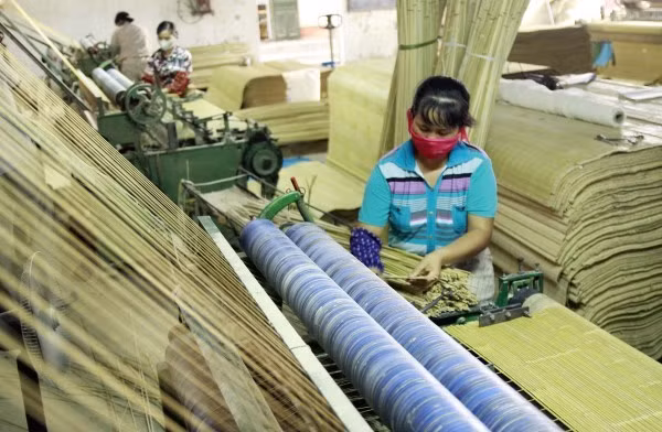 Dây chuyền sản xuất chế biến trúc hiện đại của Công ty cổ phần Chế biến trúc tre xuất khẩu Cao Bằng. Ảnh: Quốc Đạt.