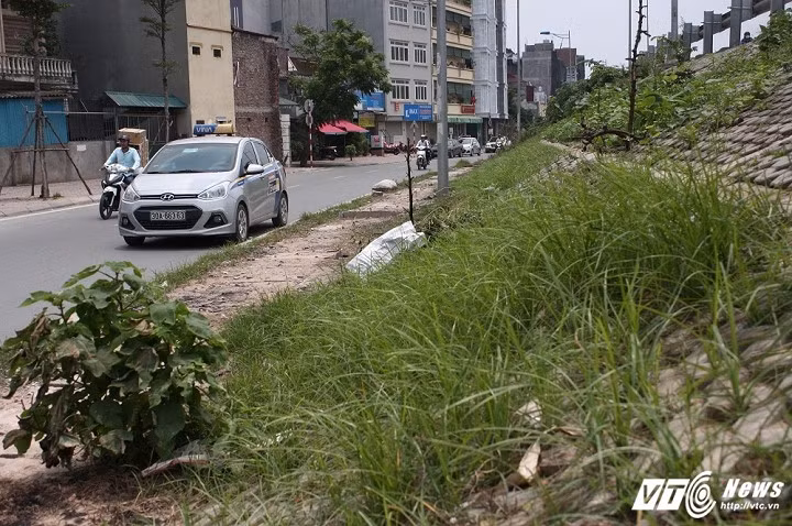 Theo tìm hiểu của PV, cách đây khoảng 1 năm, khi đường vành đai 2 hoàn thiện, thấy cỏ mọc um tùm trên những bờ kè nên nhiều hộ dân rủ nhau cải tạo, trồng rau. (Ảnh: Tùng Lâm)