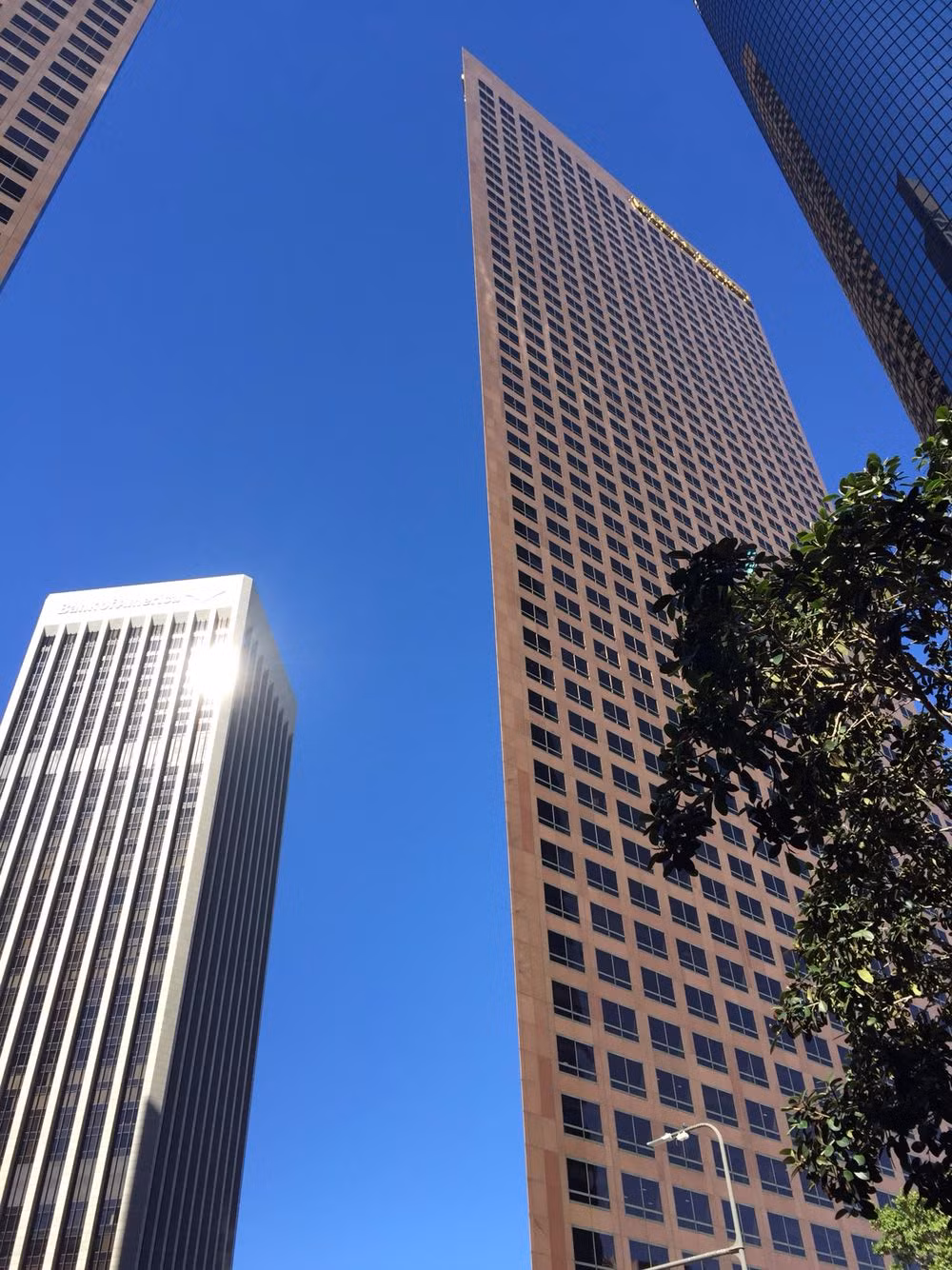 Không thể mỏng hơn. Ảnh: Imgur.