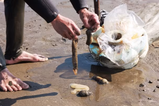 Người không có kinh nghiệm chạm vào rum là nó chạy mất ngay. Chỉ những người khéo léo, có sức khỏe ngâm mình dưới nước hàng tiếng mới bắt được. Ảnh: Lao động.