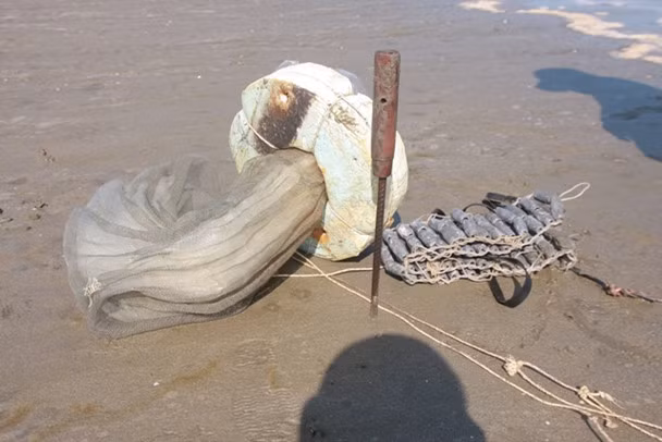 Muốn bắt được rum biển còn phải dùng 2 chân mò dưới biển sâu. Nếu không giỏi cũng khó bắt được rum nguyên con. Ảnh: Lao động.