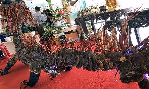 Phat sot nam lim xanh "rong" khong lo hinh gia 100 trieu