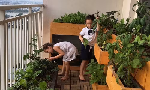 Ca si Hong Nhung trong rau bang dat set, nuoi ca tren ban cong