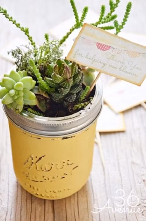 Thay vì phải bỏ tiền và công sức để mua những chiếc bình nhỏ để trồng hoa đá, hãy tận dụng ngay chiếc cốc cũ trong nhà bạn.