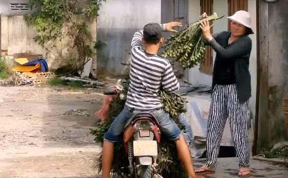 Giá cau thu mua tại cơ sở dao động 10.000 - 12.000 đồng/kg. Để có nguồn hàng cung cấp cho thương lái, nhiều người đổ xô đến từng ngôi làng để lùng mua, thậm chí mua cả vườn cau với giá thỏa thuận. Ảnh: Tuoitre.