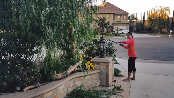 Mình yêu hoa, yêu cây nên luôn tự tay cắt tỉa, chăm bón. Chân tay cứ trầy xước hoài cũng vì vậy. Mình thường lái xe hàng giờ tới các nhà vườn bán sỉ để chọn mua những loại cây ưng ý. Trong vườn, mình lắp hệ thống tưới nước tự động, còn với những cây trồng trong chậu thì mỗi ngày mình tưới nước một lần vào buổi chiều. Cứ 2 tháng, mình bón phân cho cây một lần để cây sinh trưởng tốt, nữ ca sĩ Hồ Lệ Thu chia sẻ về cách chăm sóc vườn cây.