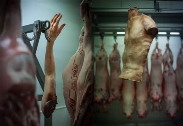 Dù gây nhiều tranh cãi nhưng nhiều cửa hàng bán "thịt người" đã đạt được mục đích khi đề ra. Ảnh: Laughing Squid.