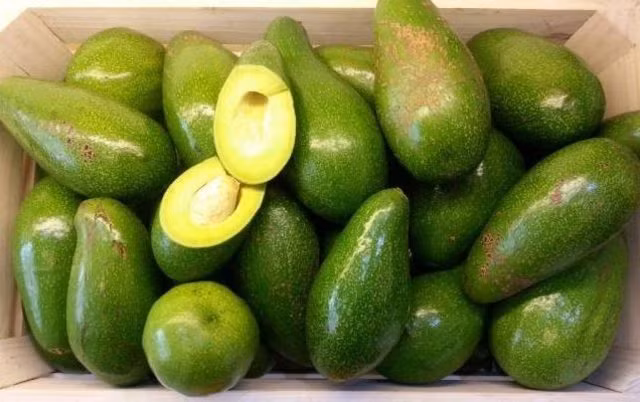 Ngoài ra, bạn có thể bấm nhẹ vào cuống bơ, hơi mềm tay thì chọn. Dù phần đuôi chưa mềm nhưng quả bơ sẽ chín dần về sau. Ảnh: Five.