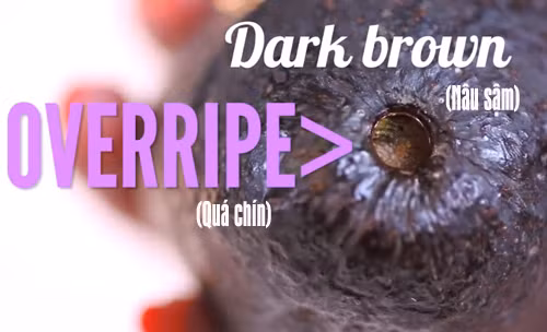 Để nhận biết bơ non hay già, hãy nhìn vào phần cuống. Cuống có màu nâu sậm là bơ đã chín quá, rất dễ bị nẫu. Ảnh: Khám phá.