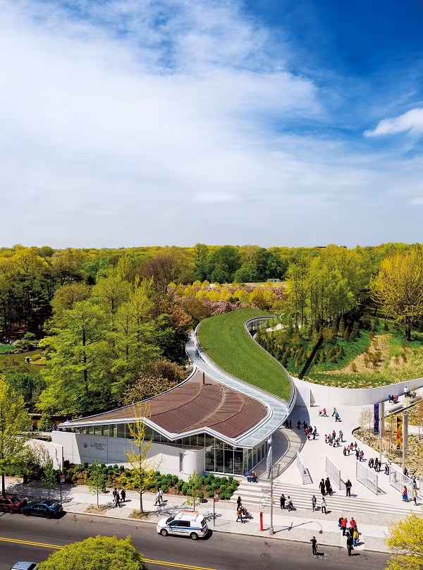 Mái nhà xanh có diện tích gần 1000 mét vuông như cầu nối giữa khu nhà với cảnh quan thiên nhiên.