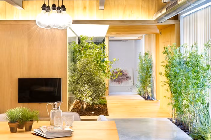 Nhằm mang đến thật nhiều ánh sáng tự nhiên, nắng và gió đến từng góc nhỏ, chủ nhân của ngôi nhà đã khéo léo tạo hệ thống tường kính trong suốt và đưa ra phương án điều chỉnh ánh sáng bằng mành gỗ mỏng.