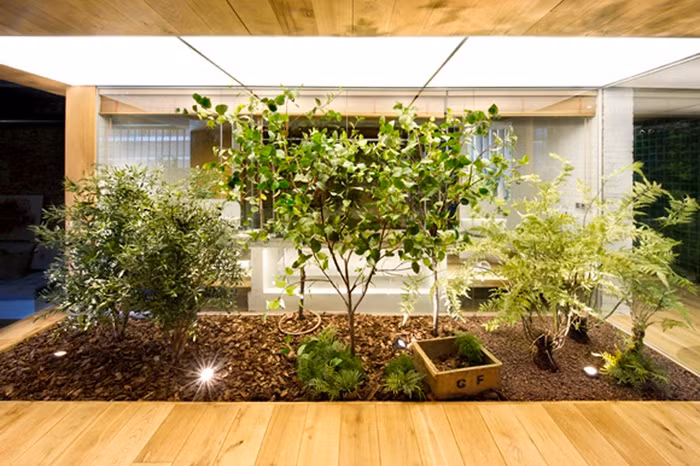 Nha day ap nang gio va cay xanh nho thiet ke sieu doc la