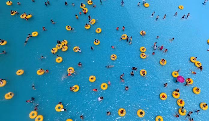 Cùng với đó là hơn 10.000 diện tích mặt nước. Ảnh: Zing.