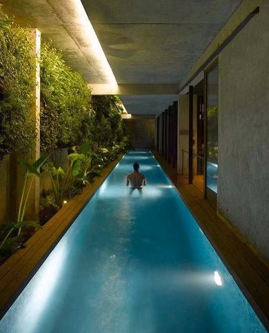 Tận dụng ngay lối đi trong nhà để thiết kế bể bơi sang trọng.