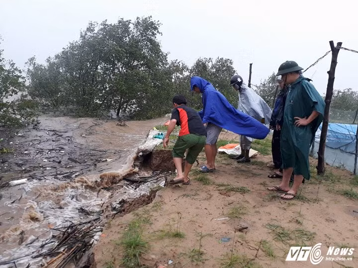 Nhieu ty phu nuoi tom thanh "chua chom" sau bao so 10-Hinh-8