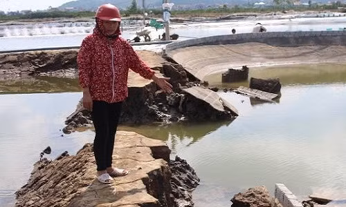 Nhieu ty phu nuoi tom thanh "chua chom" sau bao so 10