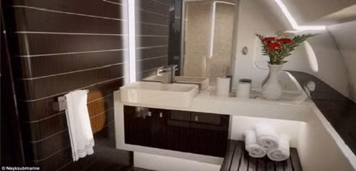 Đến nay mức giá bán chưa được tiết lộ. Chiếc tàu ngầm dài 18m đầu tiên sẽ xuất xưởng vào tháng 1/2018.