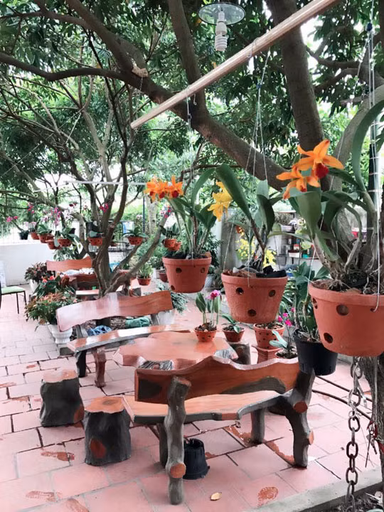 Khách đến ngồi chơi cứ muốn nán lại mãi để ngắm vườn hoa rực rỡ tràn ngập tiếng chim hót.