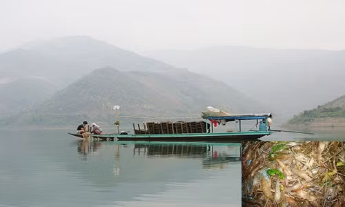 La doi cach danh bat tom bang ro bat quai o Son La