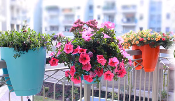 Chất liệu nhựa với màu sắc sinh động giúp lan can ban công trở nên cuốn hút. Ảnh: Giongrausach.