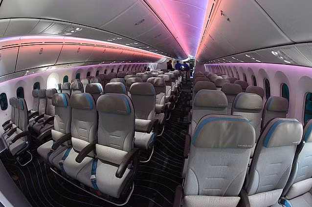 Bên trong khoang máy bay được thiết kế thân thiện với hệ thống đèn LED, tạo sự tiện nghi tối đa cho hành khách. Ảnh: Wiki.