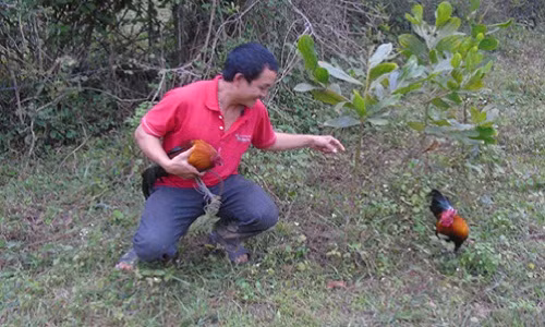 Con sot san “son ke” noi dai ngan xu Nghe