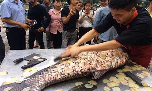 Nha hang Ha Noi mo xe "sieu thuy quai' ca ho 200 trieu-Hinh-2