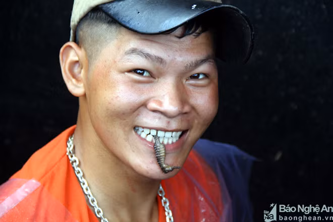 Một loài hải sản khác rất có giá trị trong mỗi lần thu lưới nữa đó là cá ngựa. Loại này thường được chủ tàu cho các thuyền viên giữ làm của riêng.