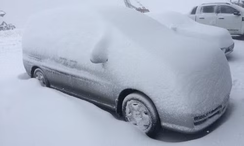 Tuyet roi giua mua he o New Zealand