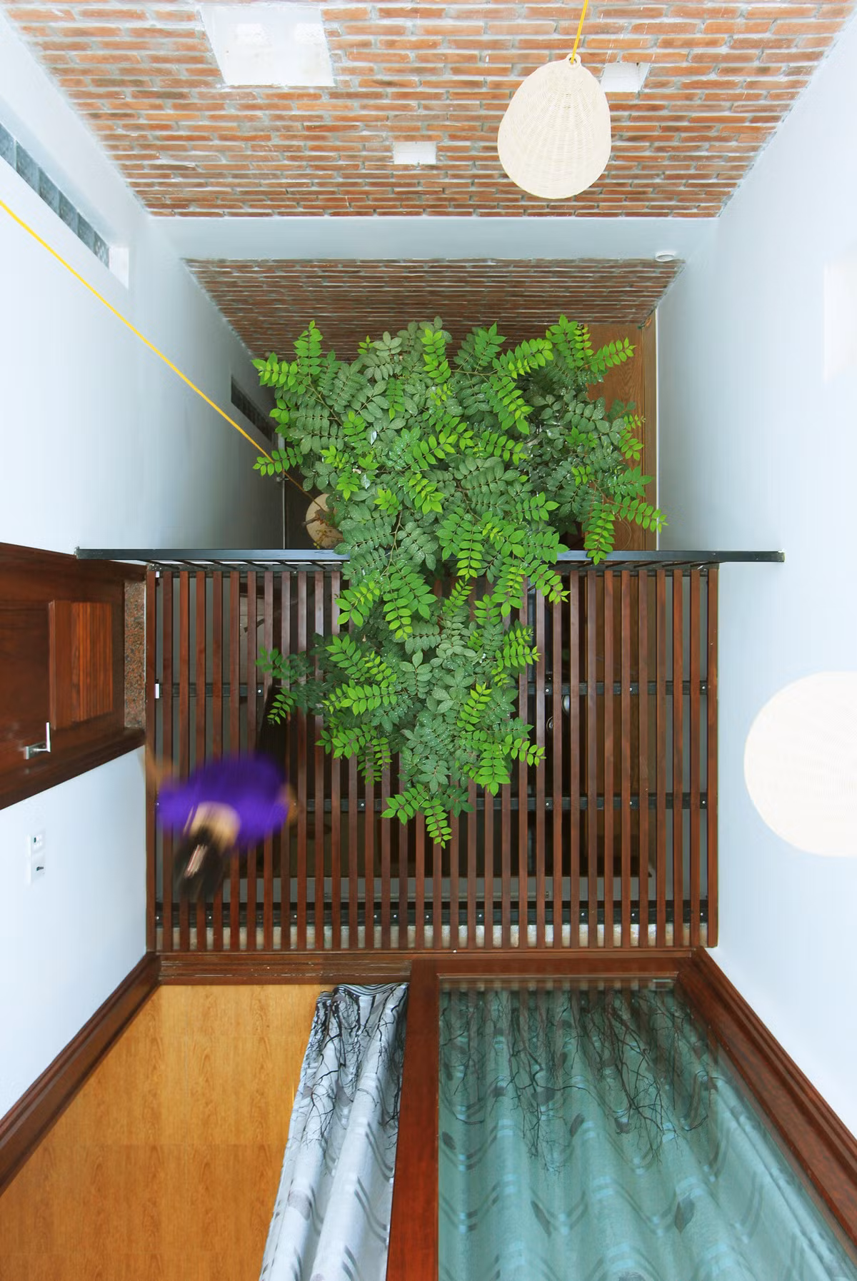 Cây xanh xuyên suốt mọi không gian.