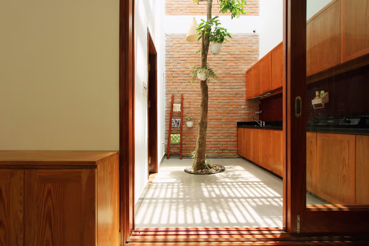 Giữa phòng bếp là cây xanh giúp thanh lọc không khí.